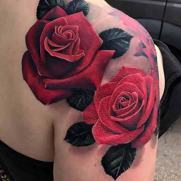Flower, Rose, Nature