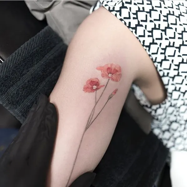 양귀비