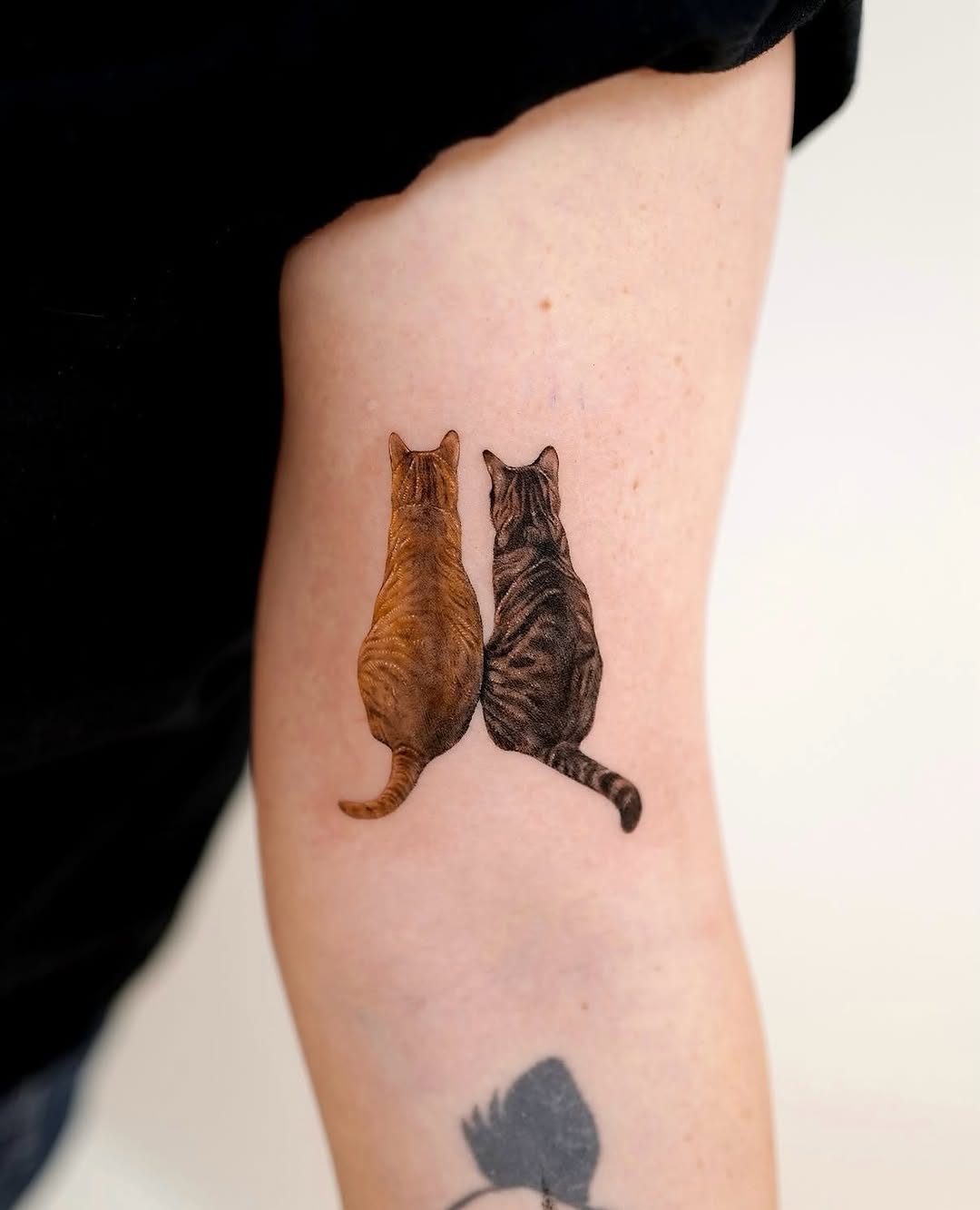 paw.tattoo