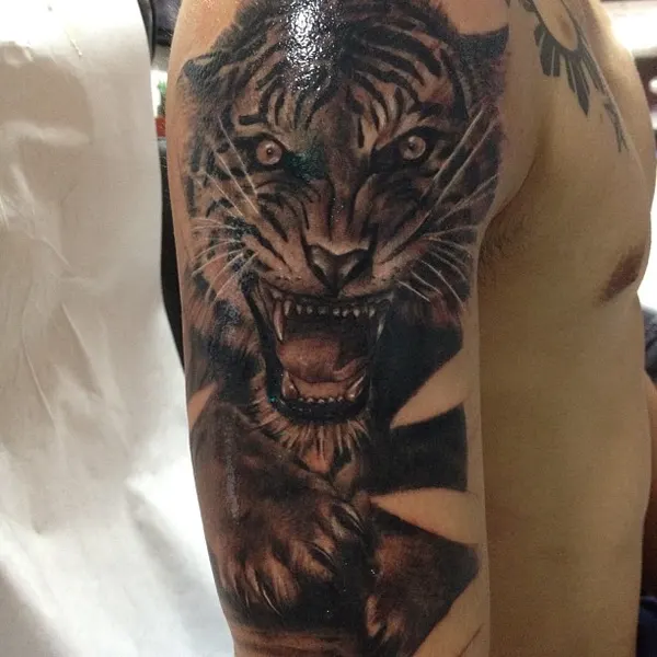Tiger, 한국 호랑이