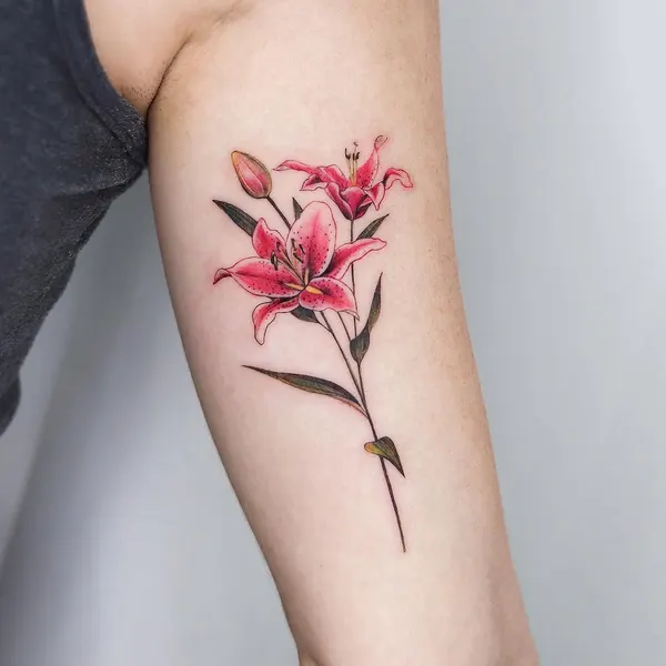 Flower, 모란, 목련, 백합, 튤립