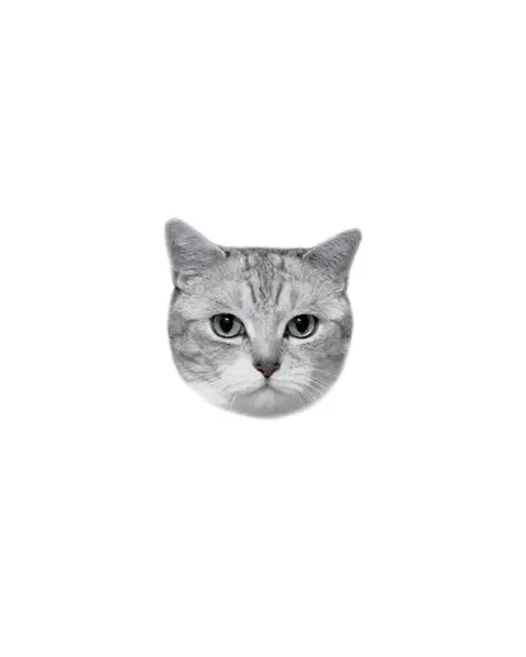 고양이, 여우 가면