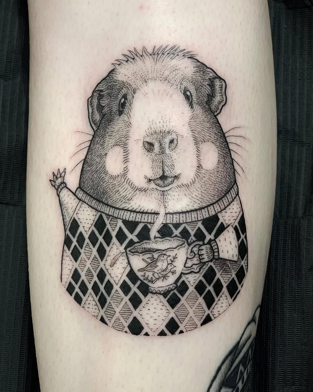 곰, 판다, 코알라