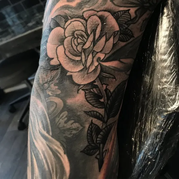 Flower, Rose