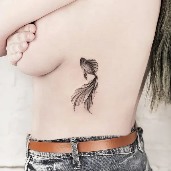 백조, 초승달