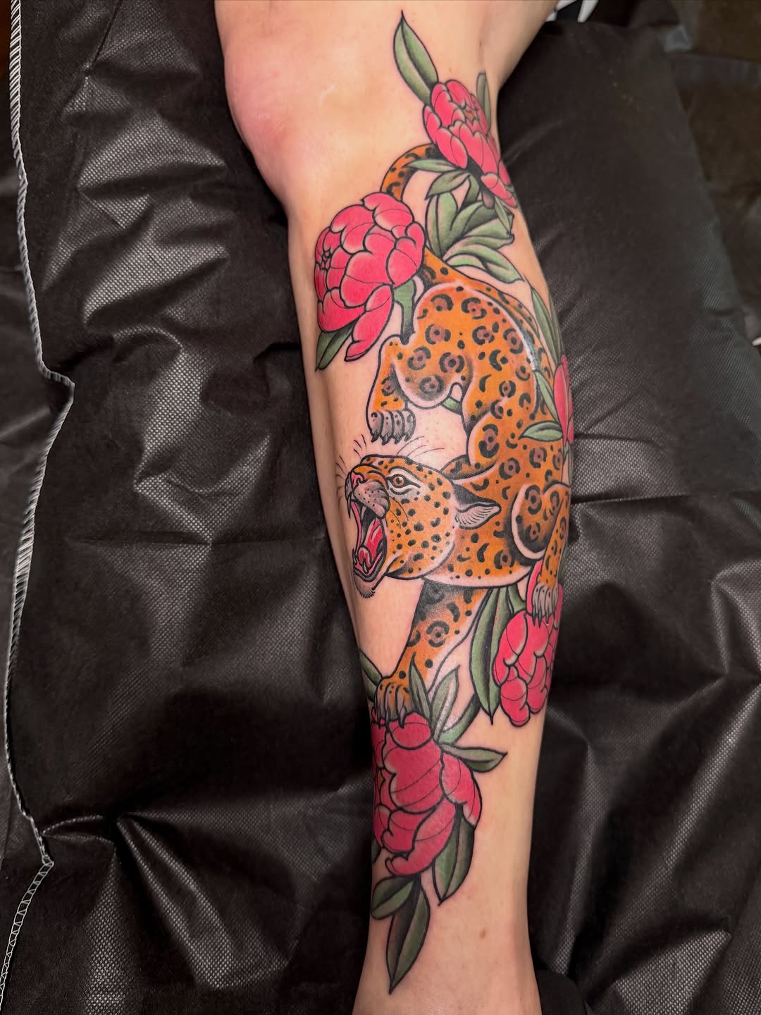 Animal, Tiger
