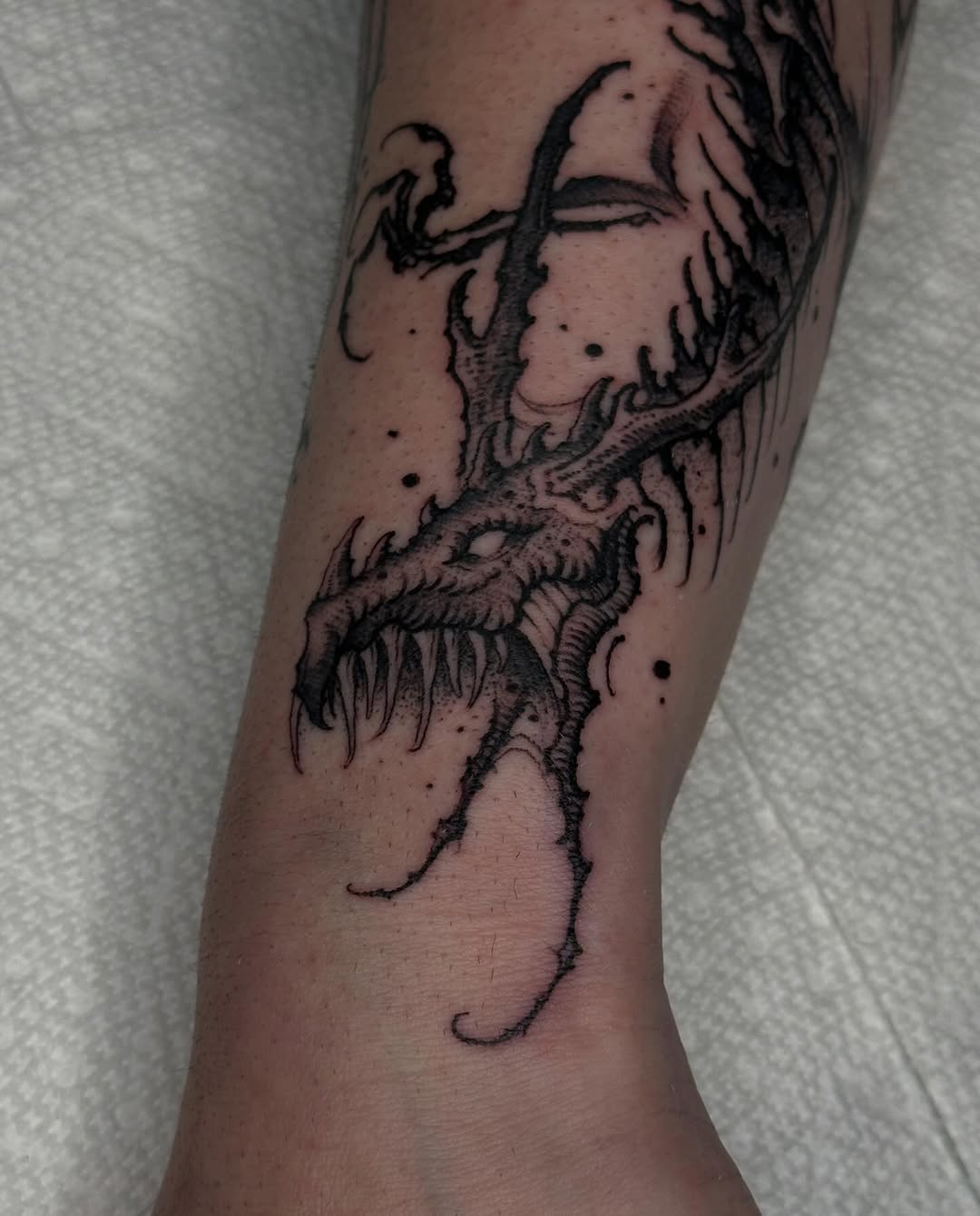 Animal