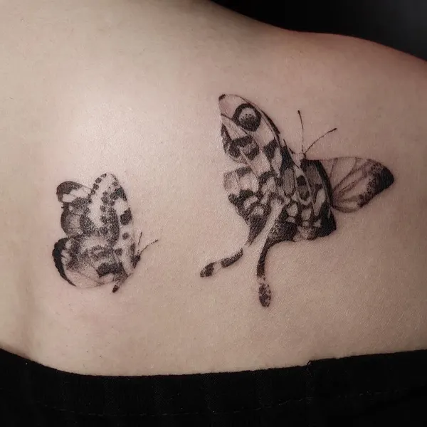 Animal, Nature