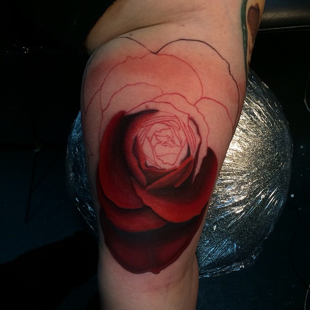 Flower, Rose