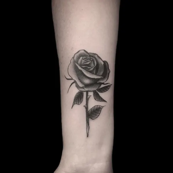 Flower, Rose