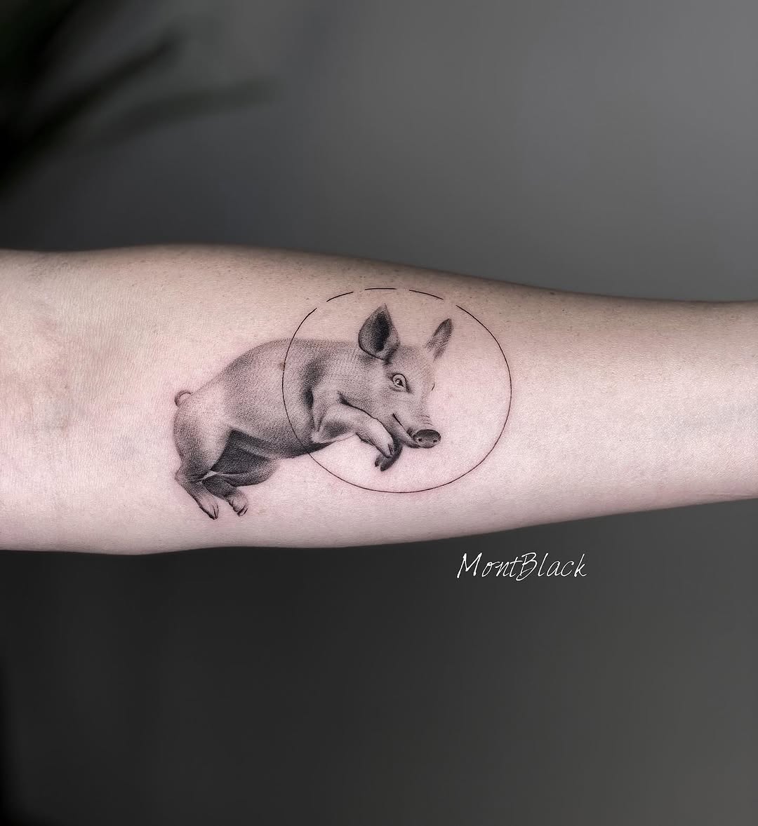 Animal, 쥐, 다람쥐, 고슴도치