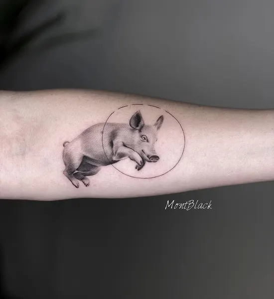 Animal, 쥐, 다람쥐, 고슴도치