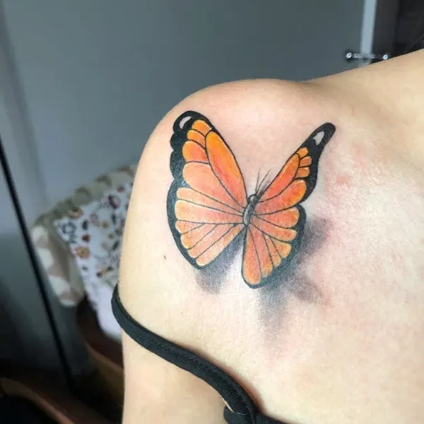 Animal, Nature, 나비