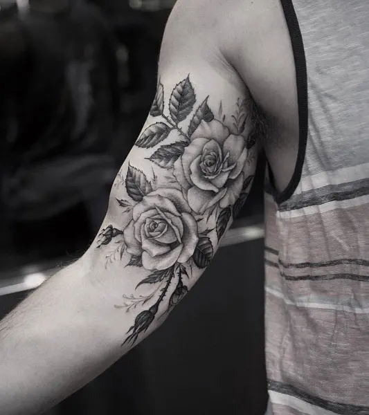 Flower, Rose, Nature