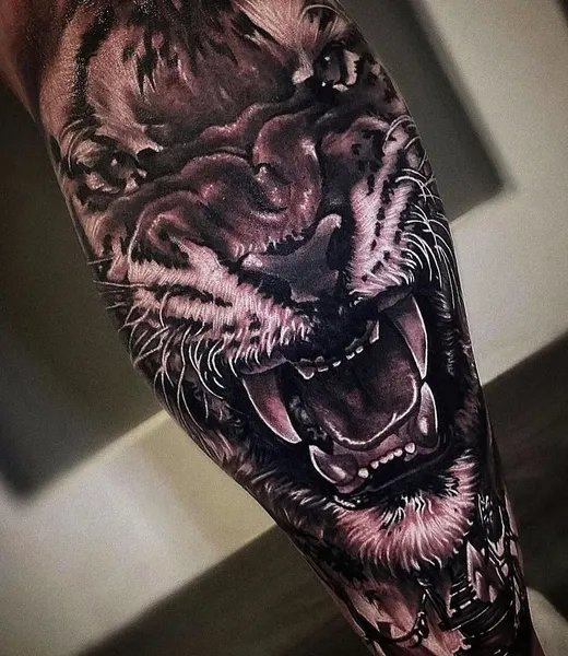 Tiger, Animal