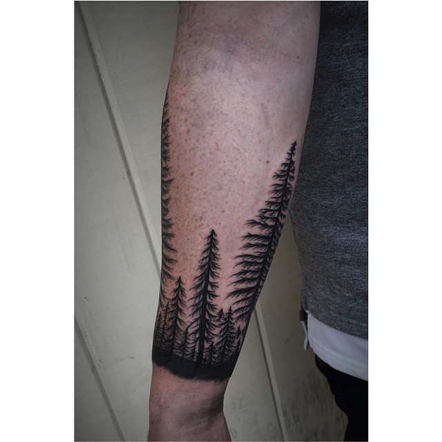 Nature, 숲, 소나무