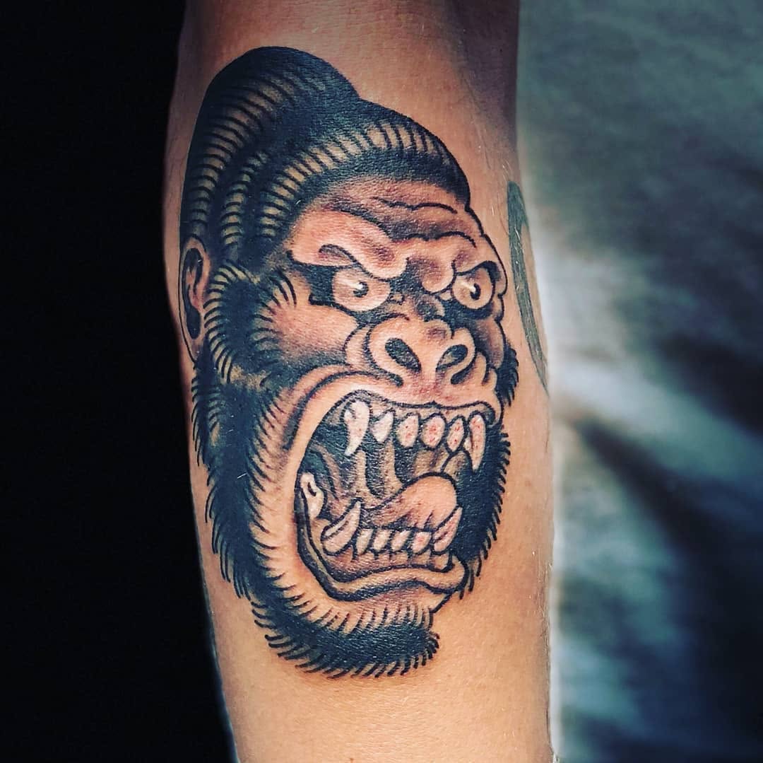 Tiger, Animal, 괴물, 고릴라, 원숭이