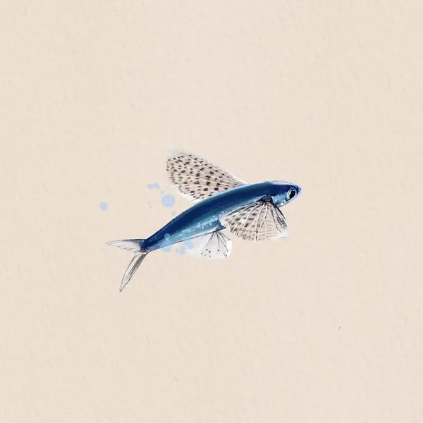 물고기, Animal