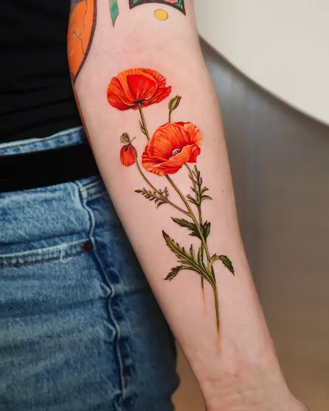 Flower, Rose, 양귀비