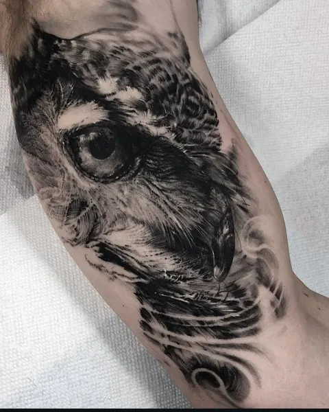 Animal