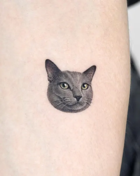 고양이