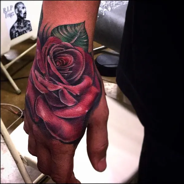 Flower, Rose