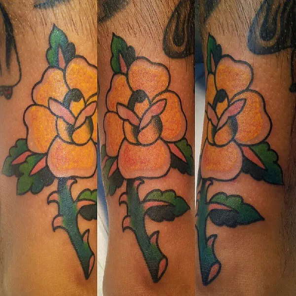 Flower, Rose