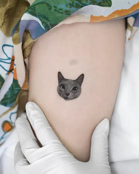 고양이