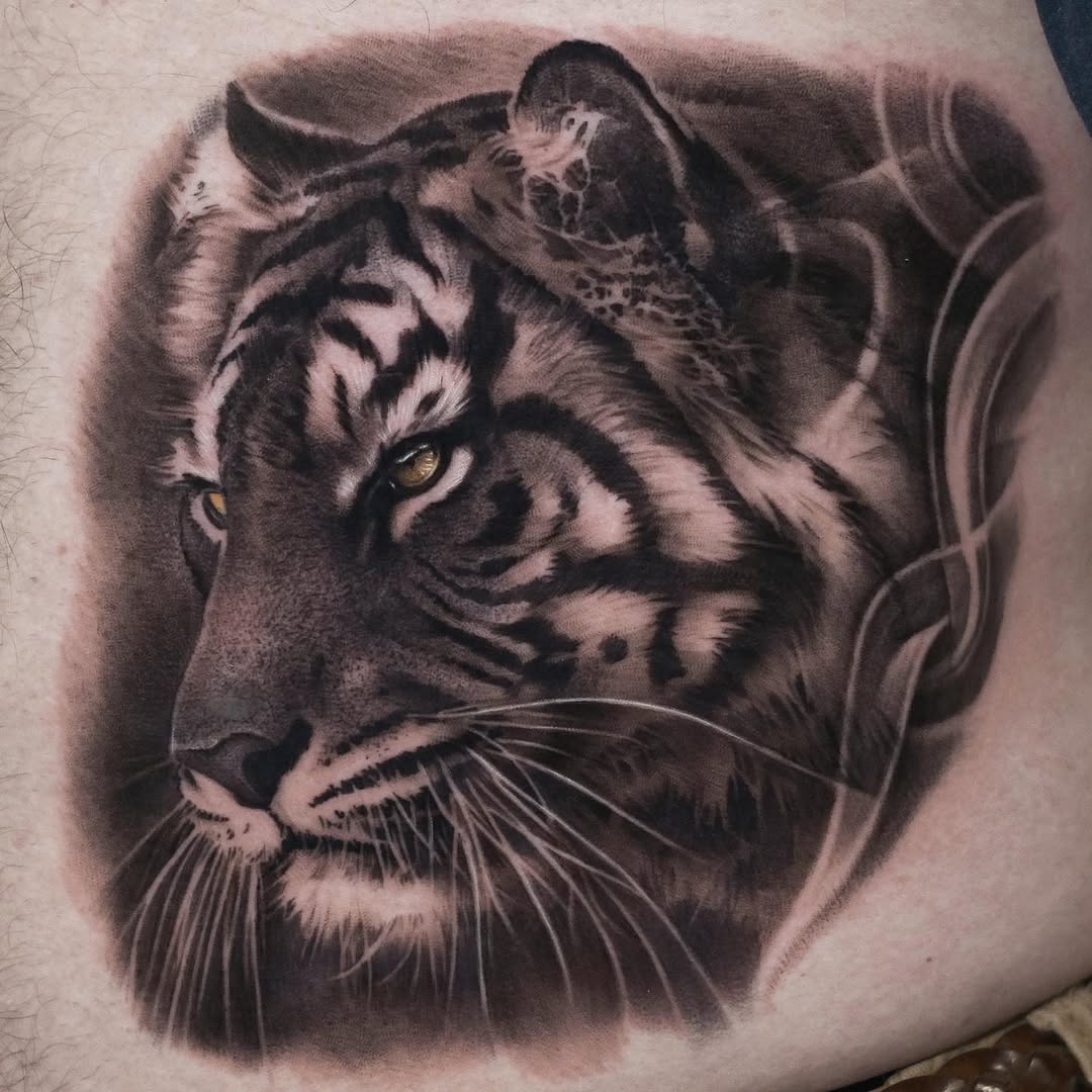 Tiger, 중국 호랑이, 한국 호랑이, 팬서