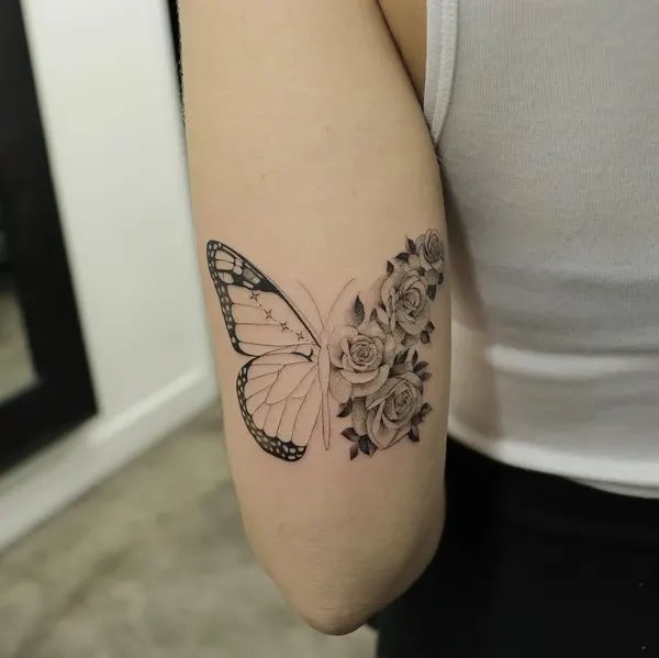 Animal, Nature