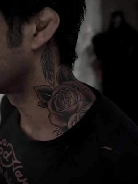 Flower, Nature, Rose