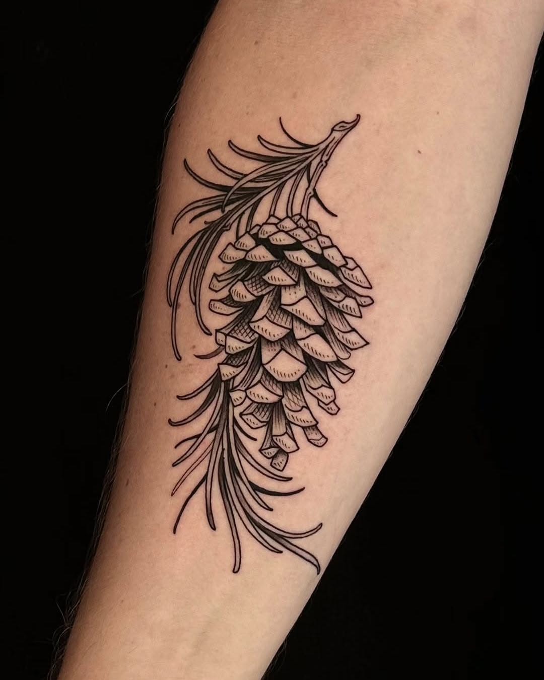 Flower, 고사리