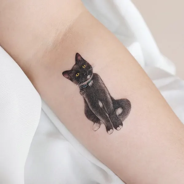 마네키네코, 여우 가면, 너구리