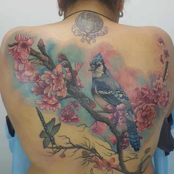 변화