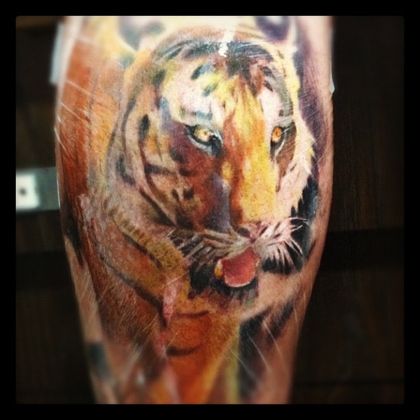 Tiger, 중국 호랑이