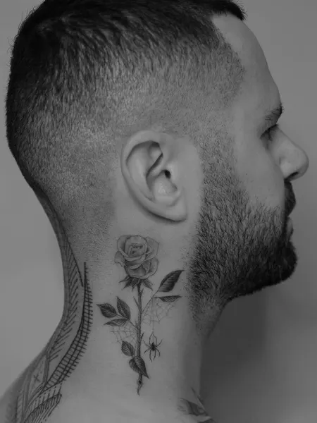 Flower, Rose