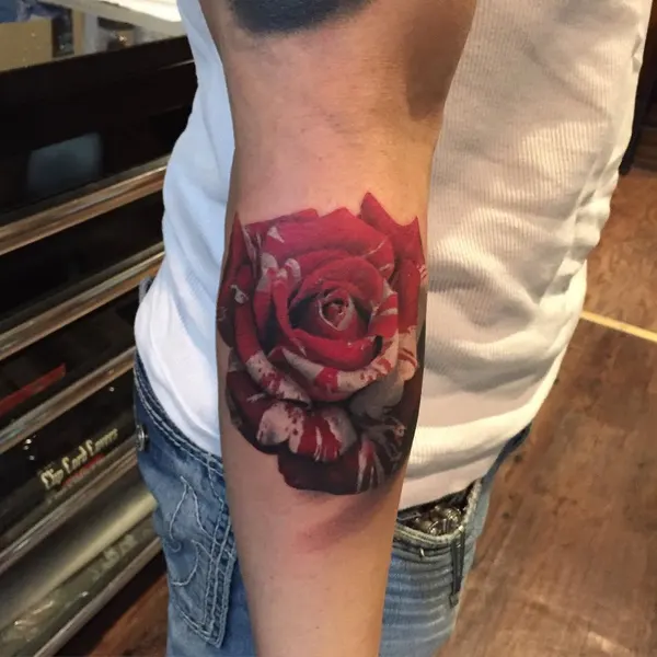 Flower, Rose