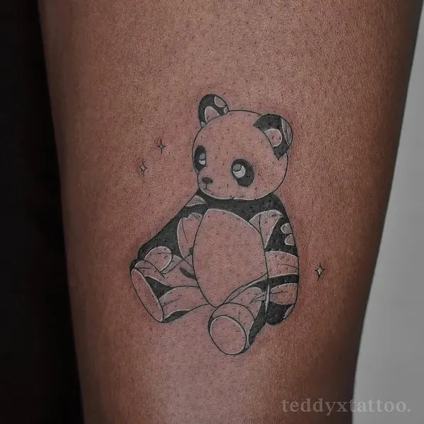 곰, 판다, 코알라