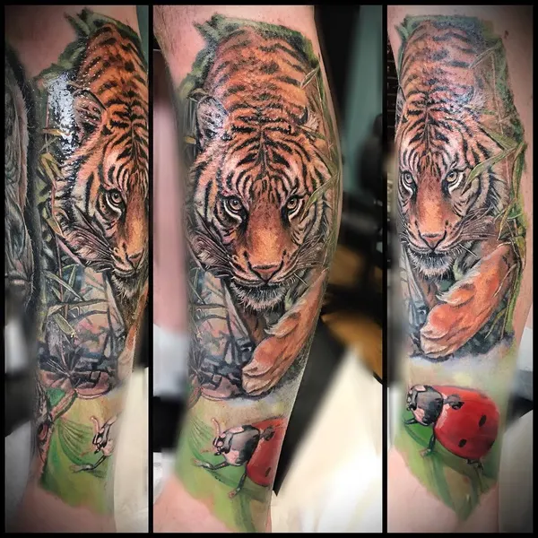 Tiger