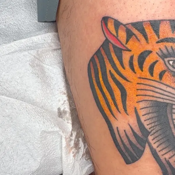 Tiger, Animal