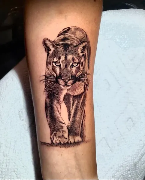 Tiger, 팬서, 사자자리