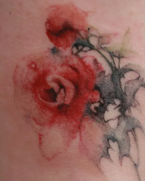 Flower, 양귀비, 해파리