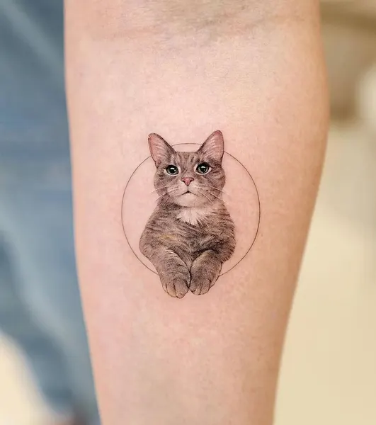 Animal