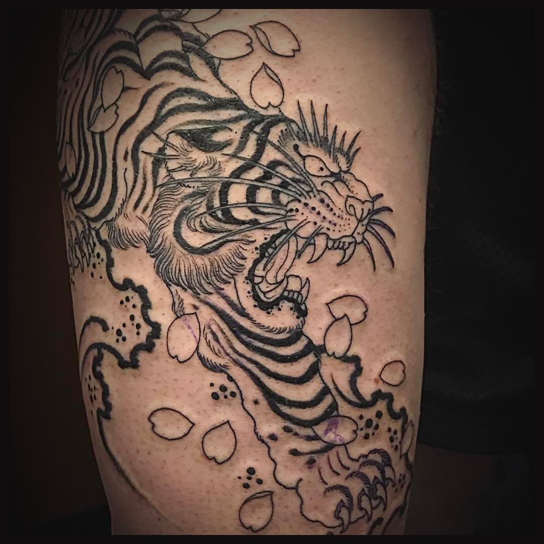 Tiger, 중국 용, 일본 용, 한국 용