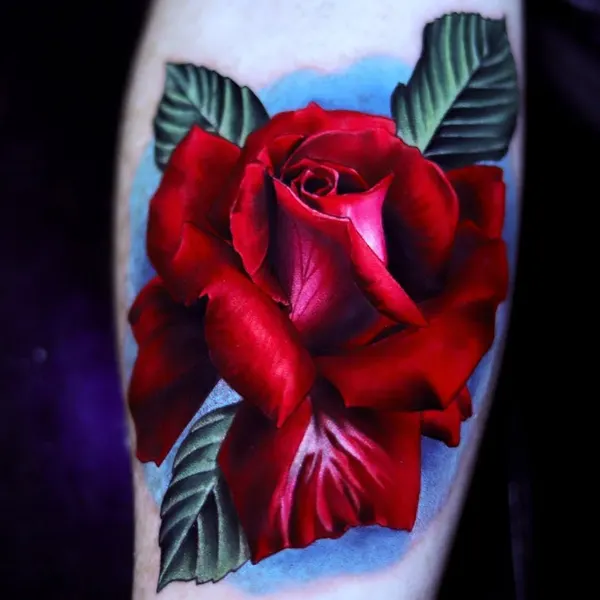 Flower, Rose