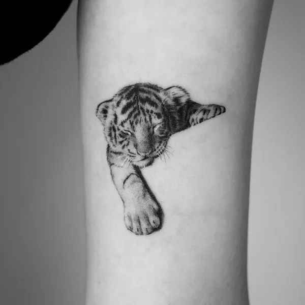 Tiger, 치타, 중국 호랑이