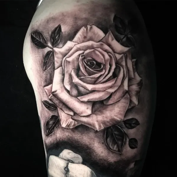 Flower, Rose