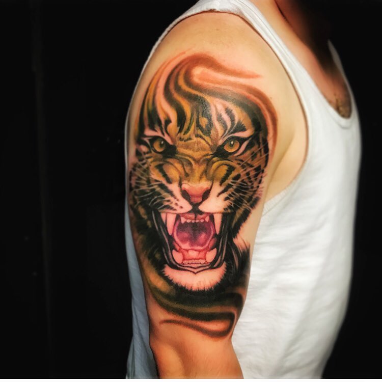 Tiger, 사자자리