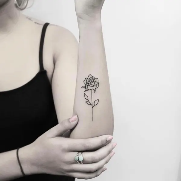 Flower, Mini, Rose