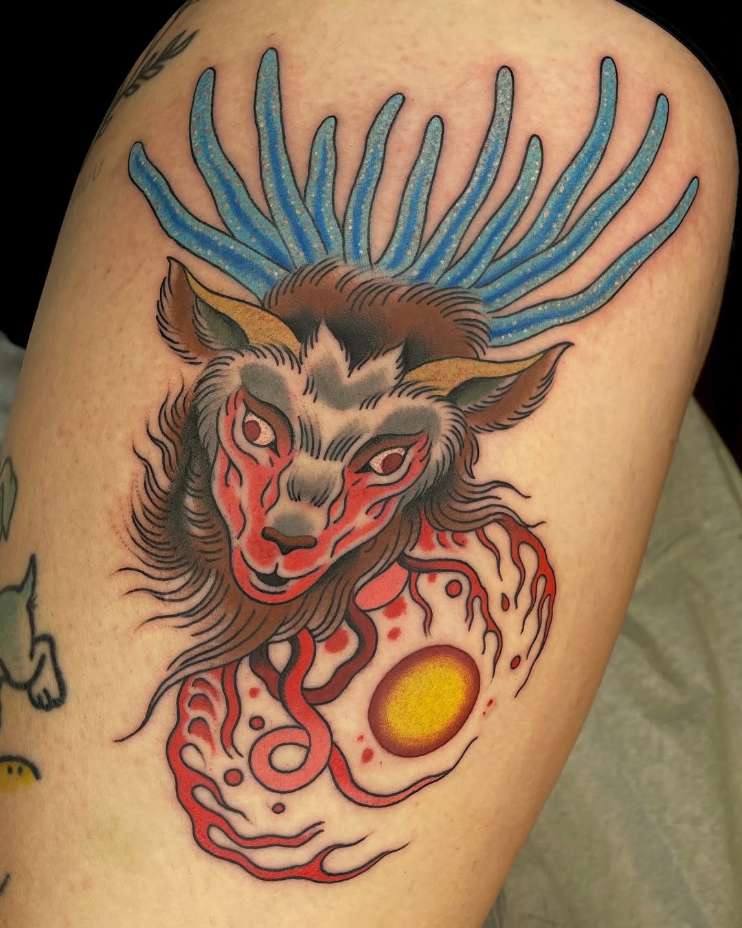 Tiger, Animal